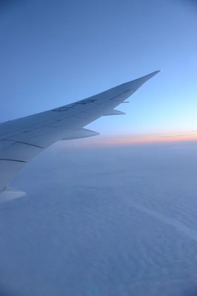 DSC_7438 (Large).JPG